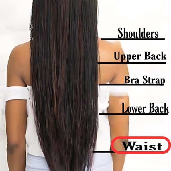 length chart waist length