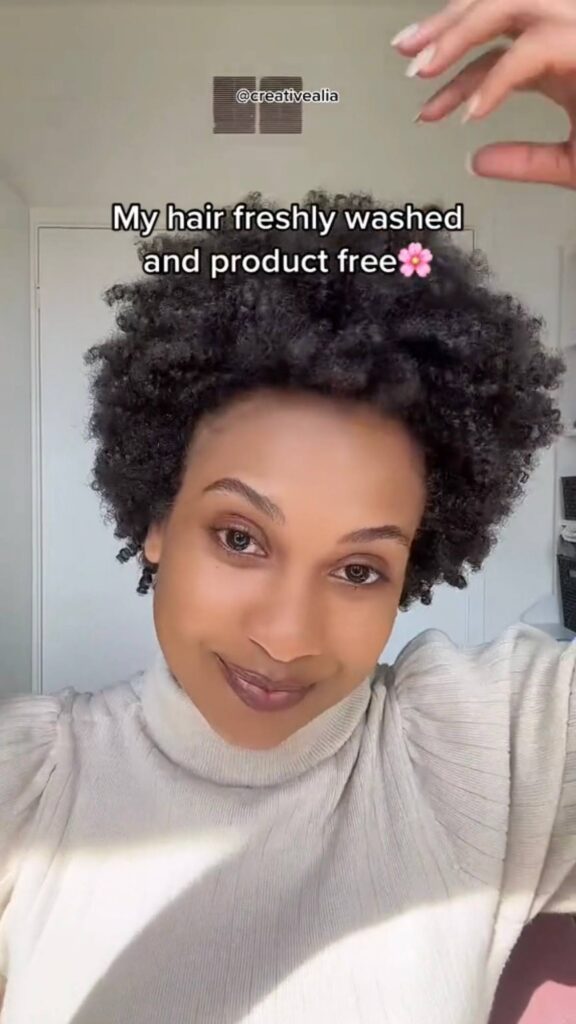 Best wash and go for natural hair