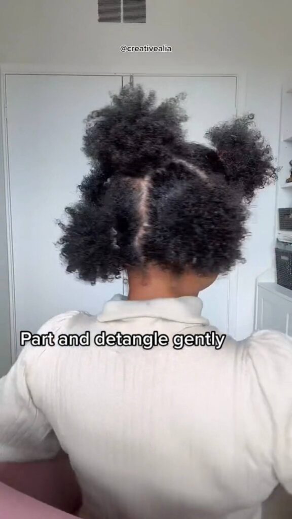 Best wash and go for natural hair